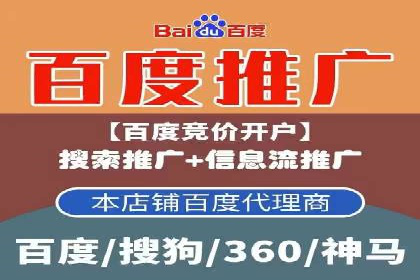 SEO与SEM融合策略：成功案例解析